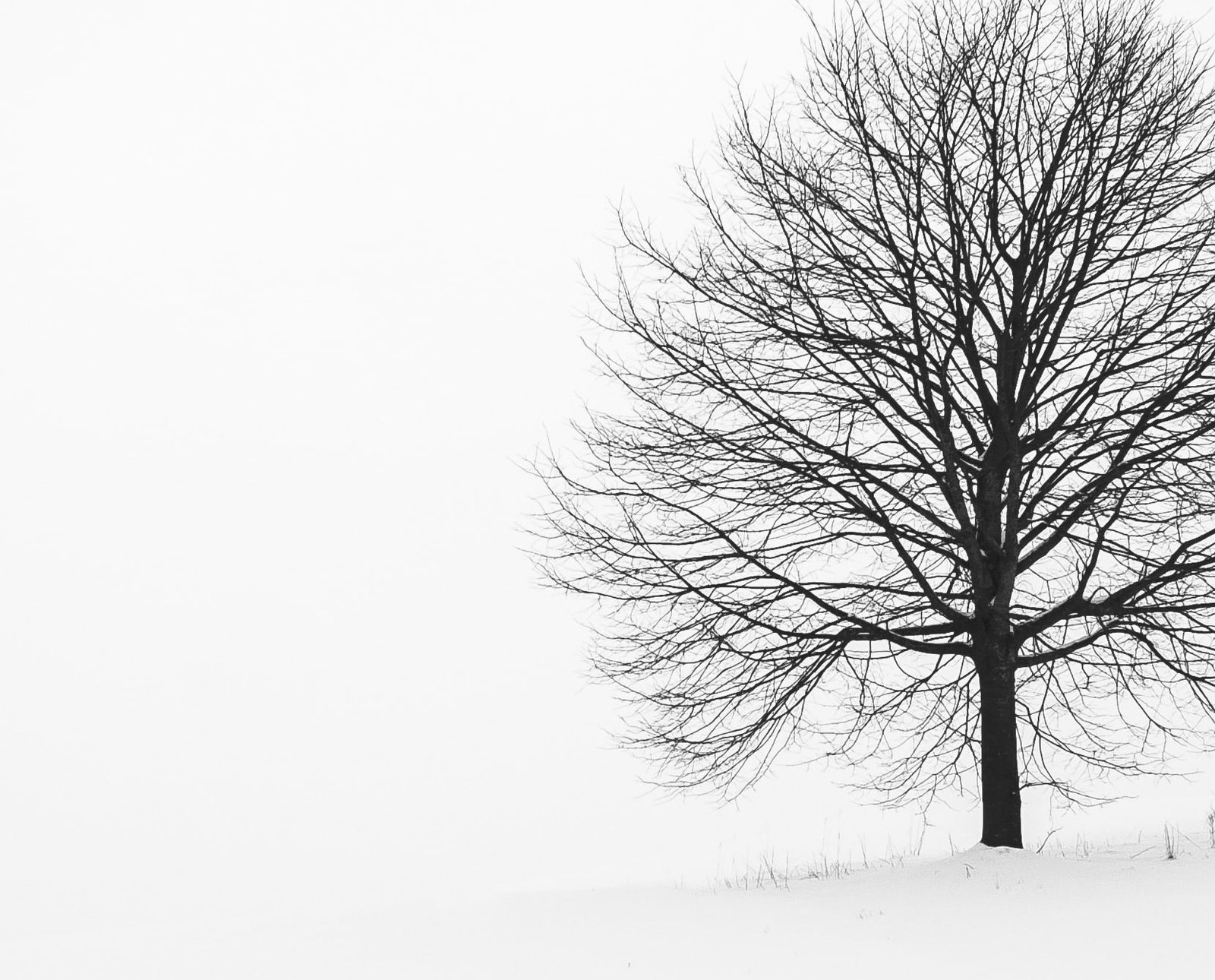 single-image-project11